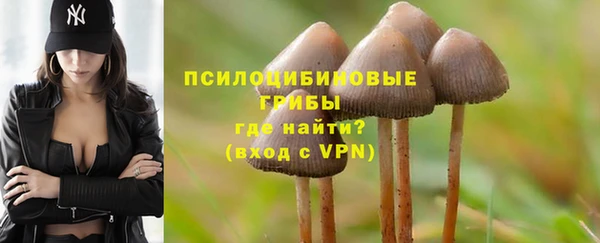 метадон Липки