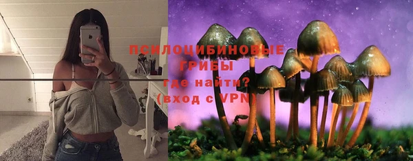 героин Ладушкин