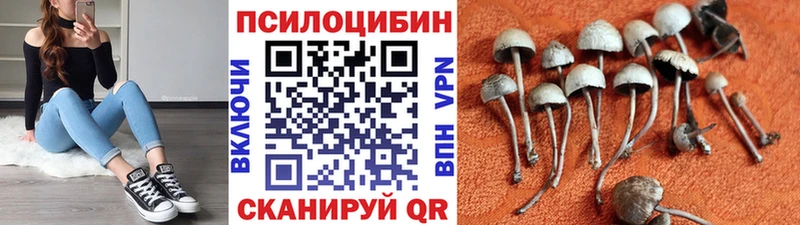 Купить  Назарово  Галлюциногенные грибы Psilocybine cubensis 